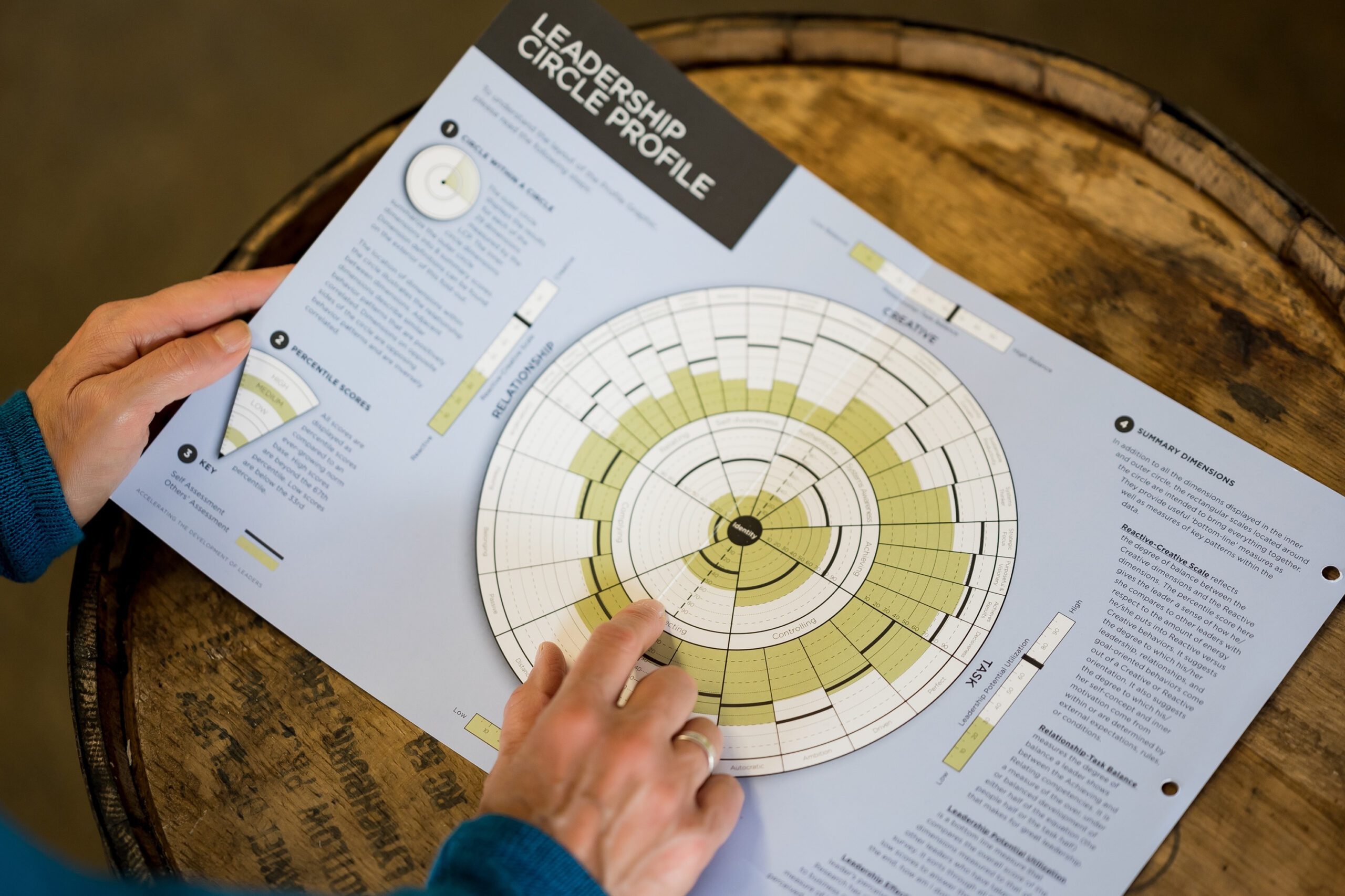 Leadership Circle Profile Map